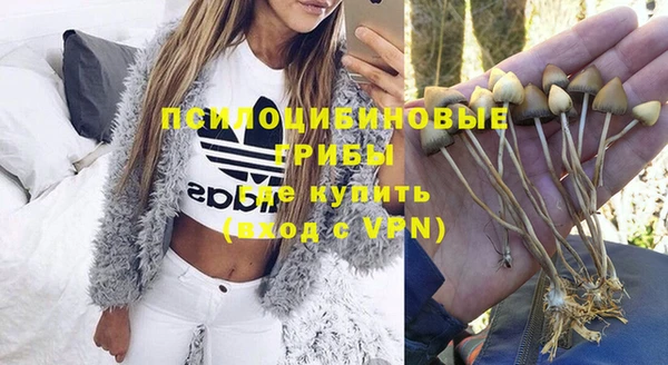 не бодяженный Новозыбков