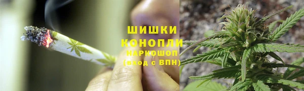 не бодяженный Новозыбков
