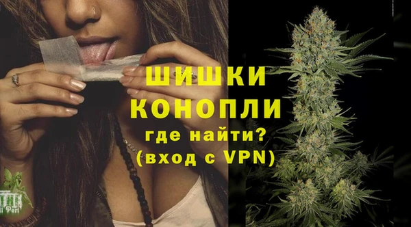 дурь Нея