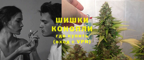 дурь Нея